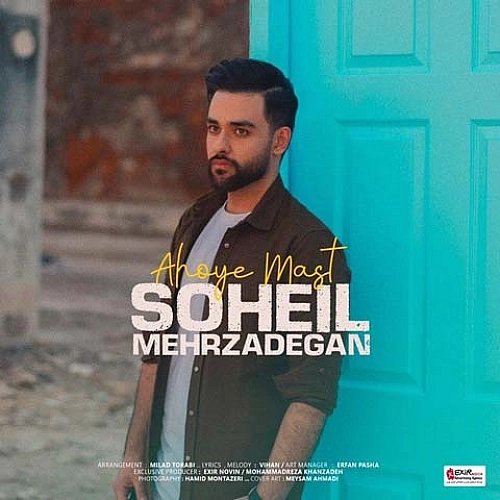 Cover artwork for Ahooye Mast by Soheil Mehrzadegan